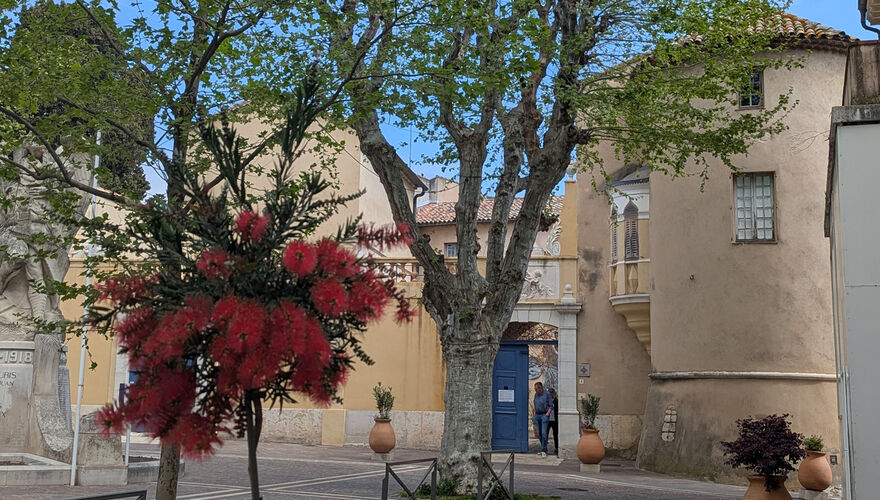Petit-déjeuner des amis des musées et de la céramique de Vallauris Golfe-Juan